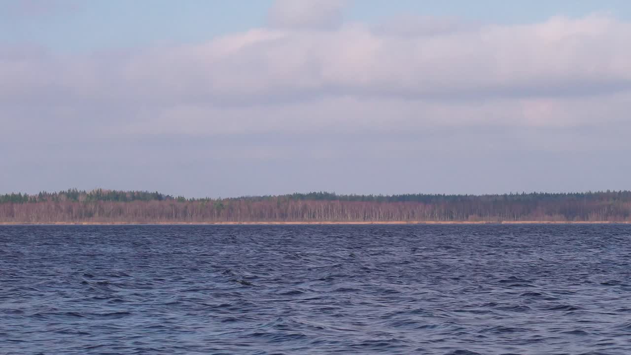 갈색 숲 연안 배경으로 은 날에 어두운 파란색 호수 파동