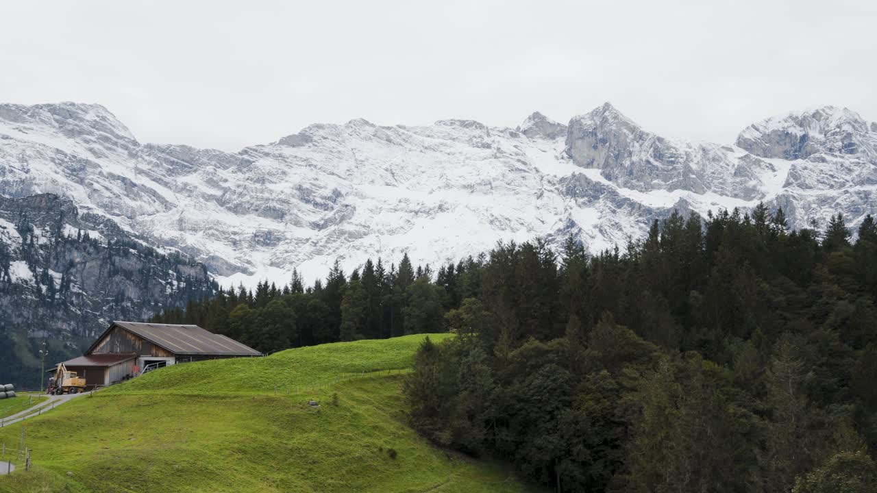 View of the Swiss Alps and forest close to Engelberg