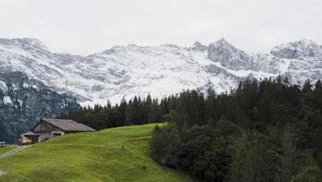 View of the Swiss Alps and forest close to Engelberg
