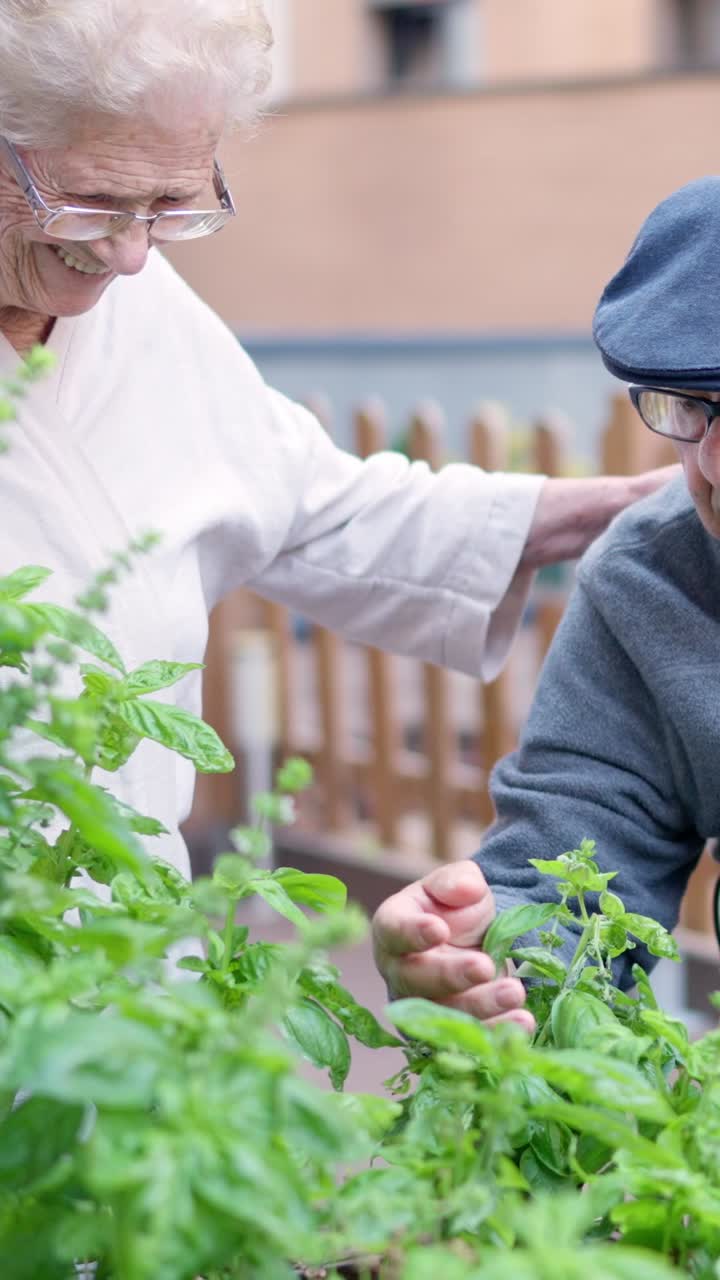 Elderly Couple Gardening Together