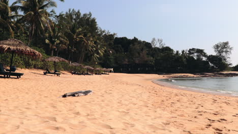 playa vacía en un resort de lujo en malasia