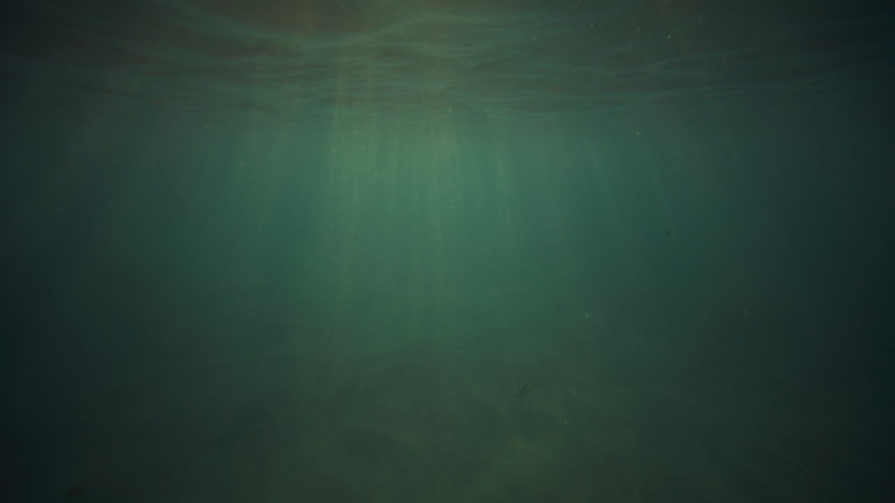 Rays of light sparkle down below water surface with golden glow