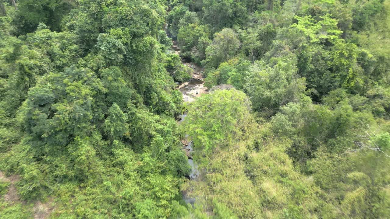 Camera pulls away from a river cutting through the jungle revealing a vast jungle.