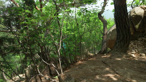 excursionista masculino caminando por una formación rocosa masiva en el bosque de montaña caminando cuesta abajo usando palos de senderismo - vista de seguimiento