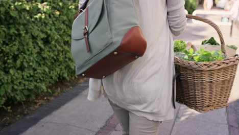 hermosa mujer cesta de compras verduras frescas saludables caminando por la ciudad