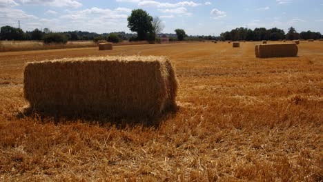 toma estática de un campo hey con fardos de heno en primer plano