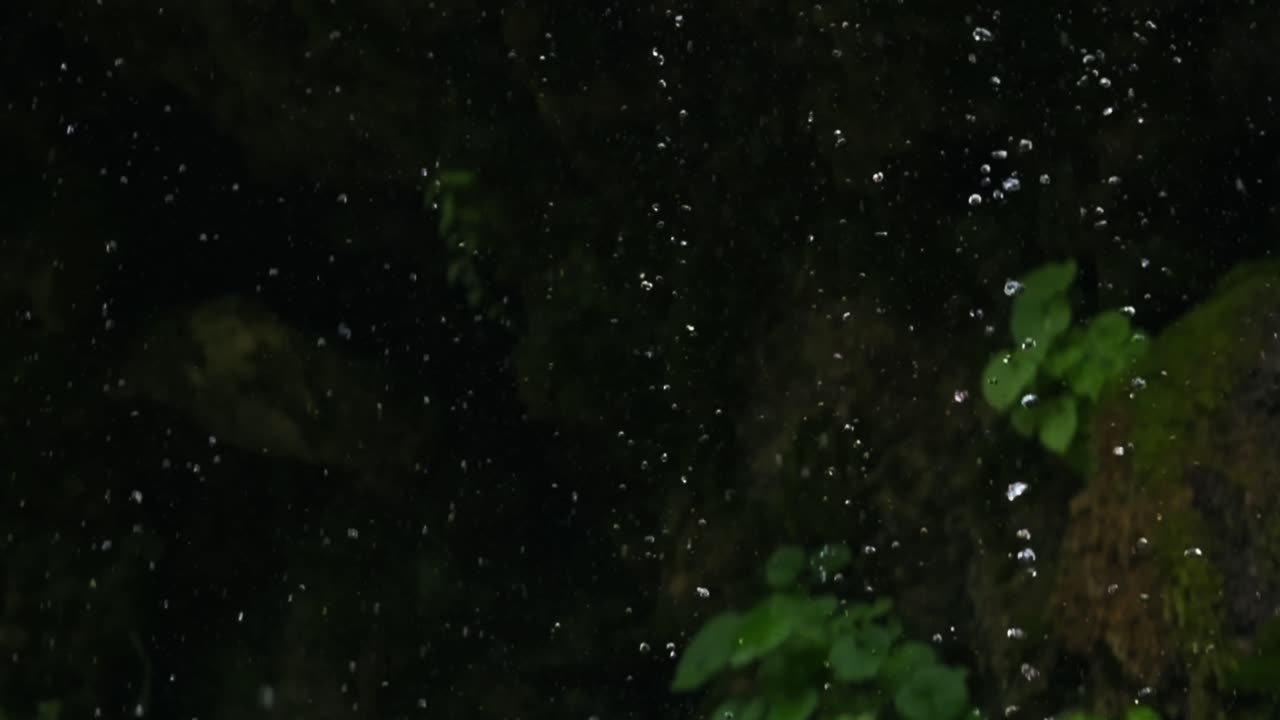 langsom vandfald sprøjtning close-up, kilde vand dråber og svinger på grønne mos dækket klipper