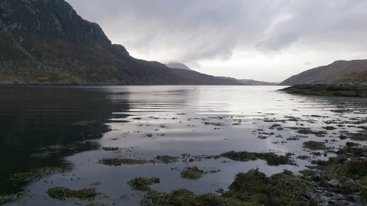 Rain gently falls on the surface of a sea loch in Scotland while waves slowly lap a rocky shore and rocks covered in seaweed