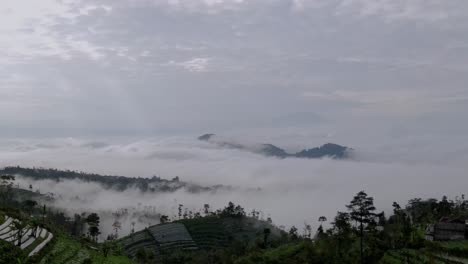Valley-shrouded-in-mist,-wide-aerial-panorama