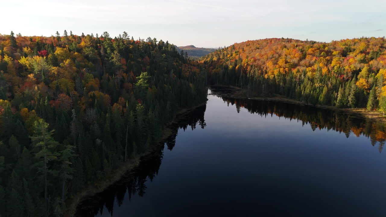 Aerial view at morning golden hour over a vibrant autumn forest, lake, and mountains in Mauricie, Quebec, Canada. Soft light reveals the rich fall colors
