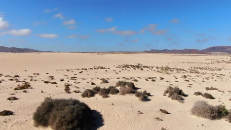 flying over the sand of the corralejo natural park on the canary island of fuerteventura on a sunny day