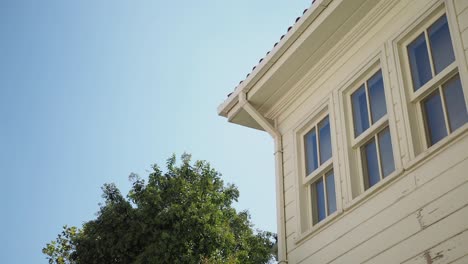 white house corner with windows and trees