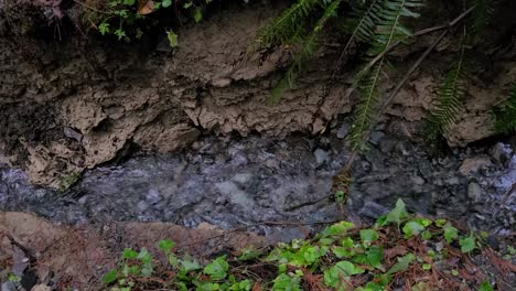 Luftaufnahme-Und-Draufsicht-Die-Turbulente-Strömung-Des-Stroms-Im-Wald