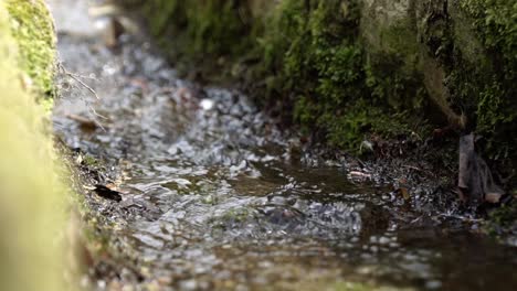 corriente de agua que fluye desde una montaña en cámara lenta en un pequeño acueducto de la alhambra, granada, españa