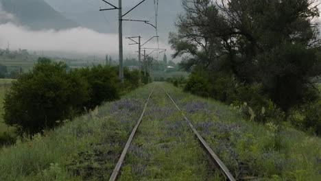 Historical-Rail-Track-With-Overgrown-Wildflower-Fields-Near-Atskuri-In-Samtskhe-Javakheti,-Georgia