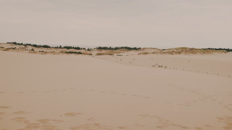 menschen, die auf sanddünen laufen