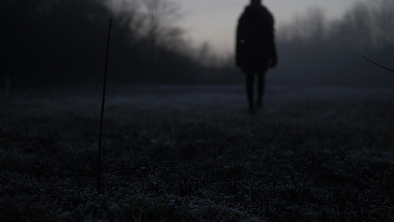 Low angle shot of a woman walking on a moody frost morning