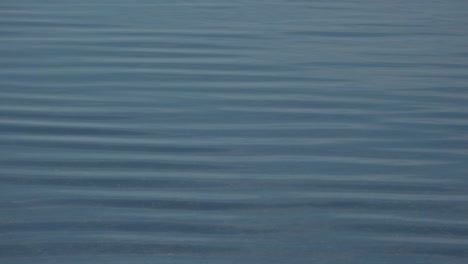 blaue glasartige wasseroberfläche mit ruhigen wellen, friedlicher hintergrund