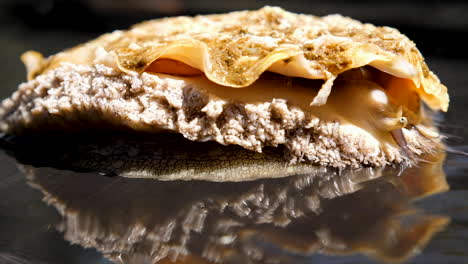 Large-South-African-abalone-on-plastic-film-in-tank