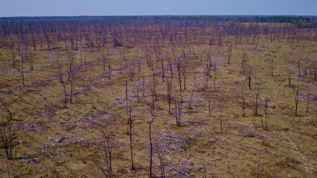grabación aérea de un bosque quemado por el fuego.