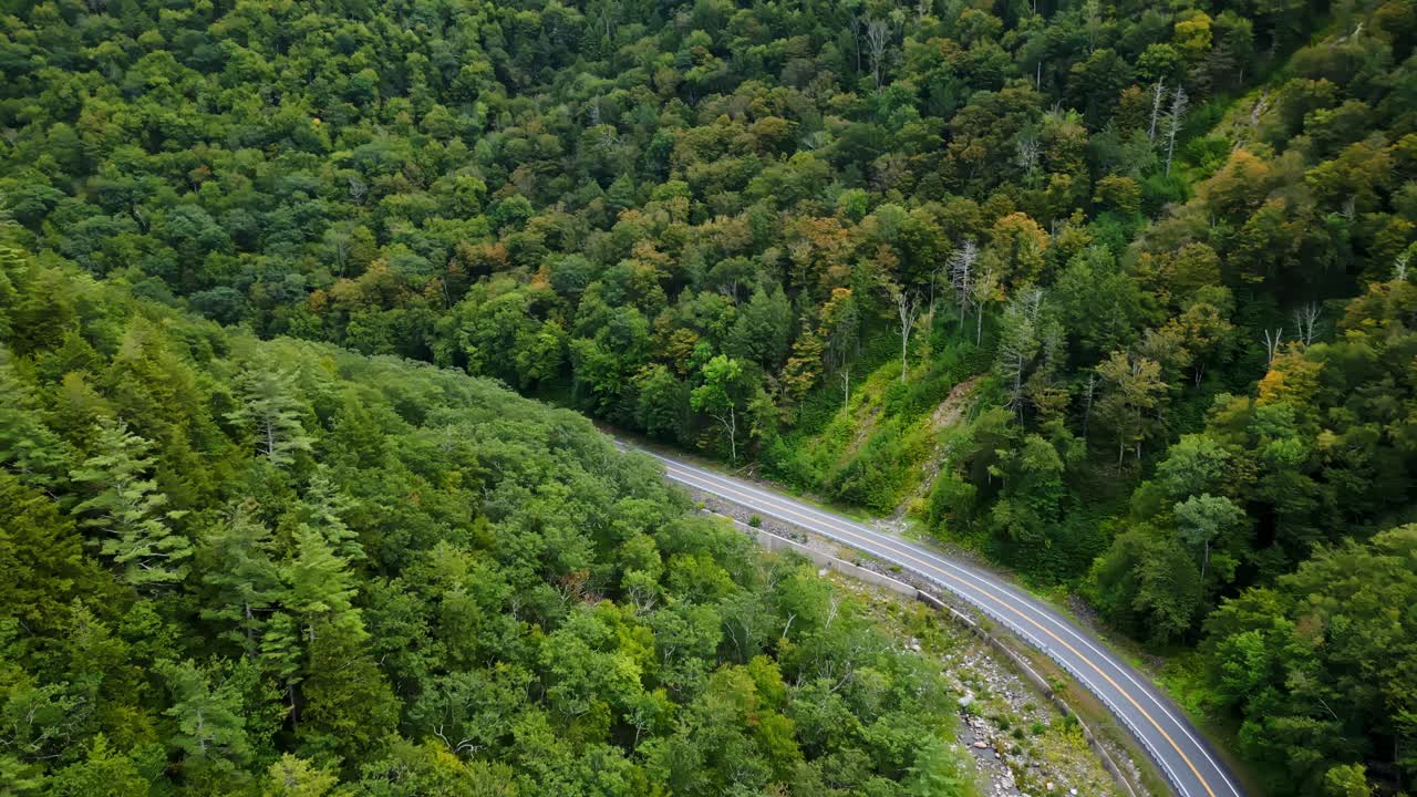 Winding Road Surrounded By Dense Green Hill, Mohawk Trail Scenic Road Massachusetts - Aerial Drone Shot