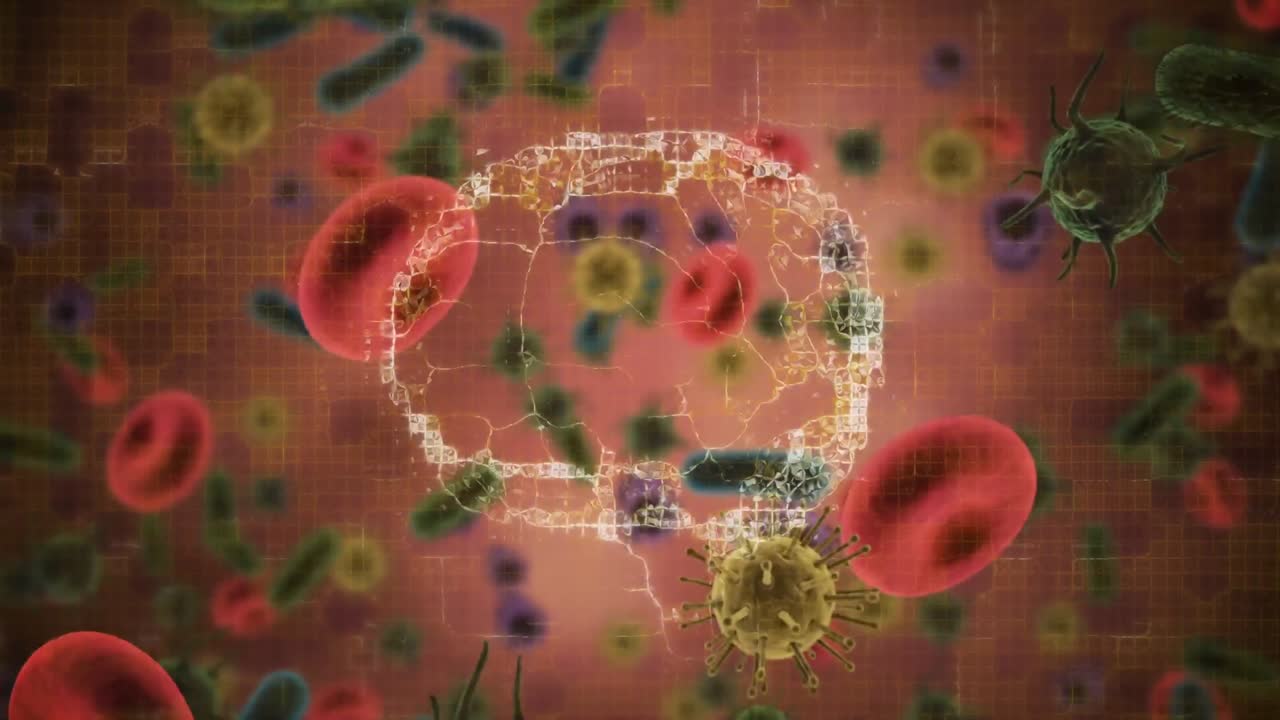 여러 코로나19 세포와 떠다니는 혈관 위에 회전하는 인간의 뇌의 디지털 애니메이션