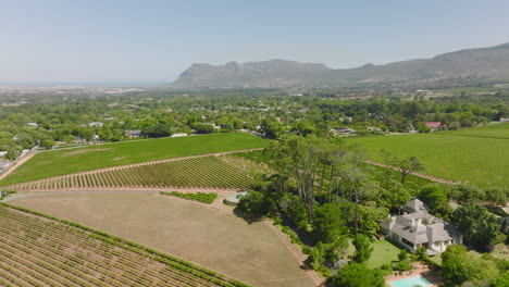 La-Agricultura-En-Los-Suburbios.-Imágenes-Panorámicas-Aéreas-De-Campos-Agrícolas-Con-Plantas-Verdes.-Cordillera-De-Fondo.-Ciudad-Del-Cabo,-Sudáfrica