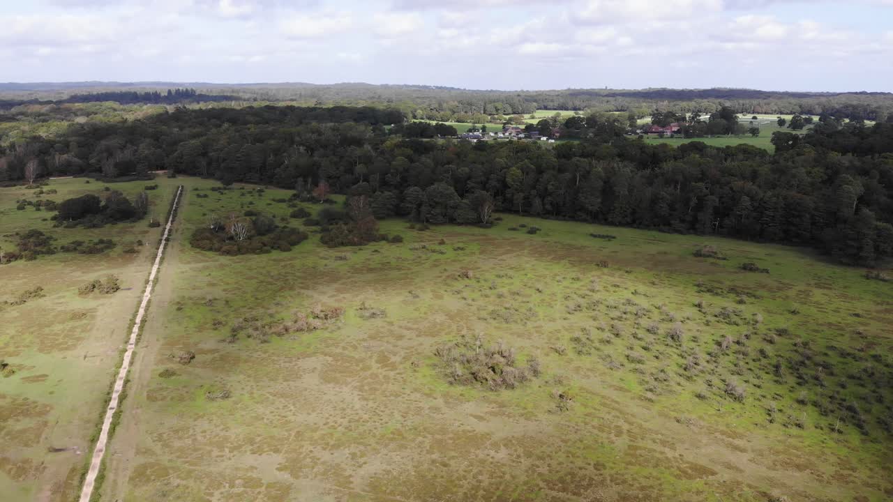 Aerial view of New Forest National Park in Southern England, featuring vast woodlands, open fields, and a winding path