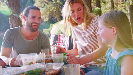 family having picnic as they camp by lake on adventure in forest