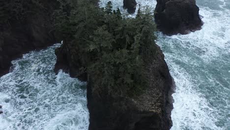 Excelente-Toma-Aérea-De-Pinos-En-Una-Gran-Roca-Frente-A-La-Costa-De-Oregon