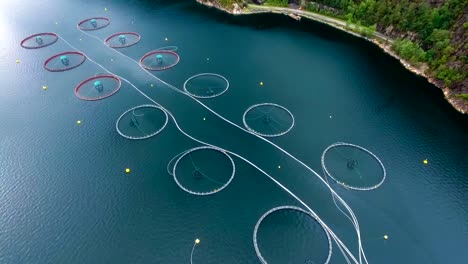imágenes aéreas de granjas de pesca de salmón en noruega