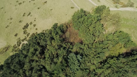 aerial shot of trees panning up to show the walking routes along the ridges and edale village in the valley at the bottom of the hills, peak district, uk