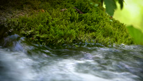 stream water flow in plitvice lakes, croatia.