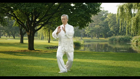 elderly asian man practicing tai chi in a serene park