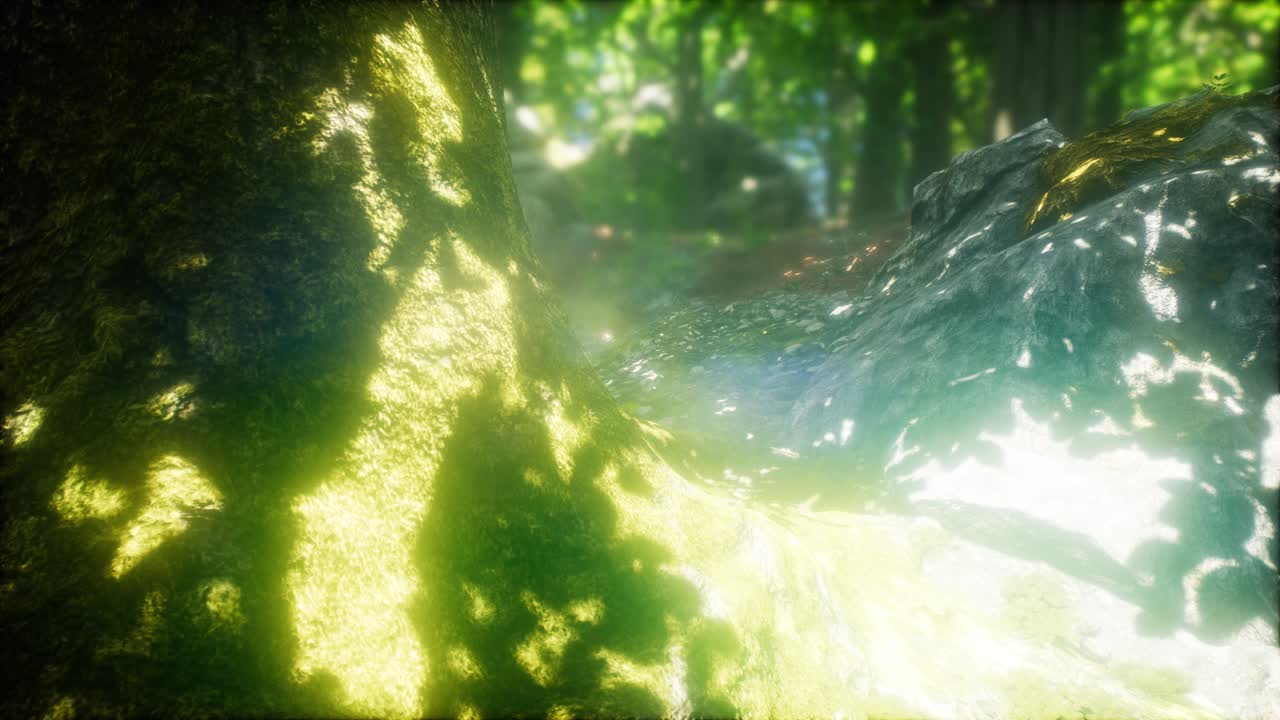 자연스러운 나무 숲을 가로질러 빛나는 빛