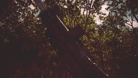 big gun cannon in the forest