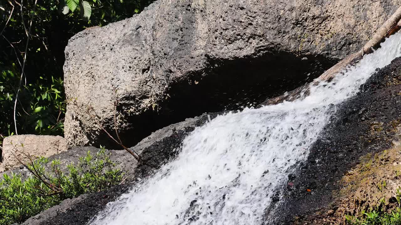Água cristalina caindo em cascata sobre rochas cobertas de musgo em plena luz do dia, cercada por uma exuberante floresta verde