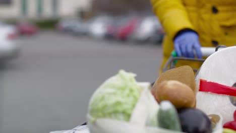 Close-up-video-of-woman-walking-with-full-shopping-basket