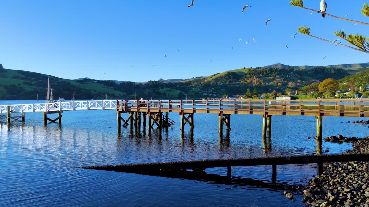 Seagulls fly over a tranquil pier in Akaroa, New Zealand, under clear blue skies with serene waters reflecting morning light