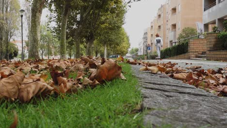 girl skating in the street autumn  4k