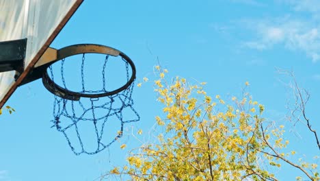 a basketball ball flies into the basket.