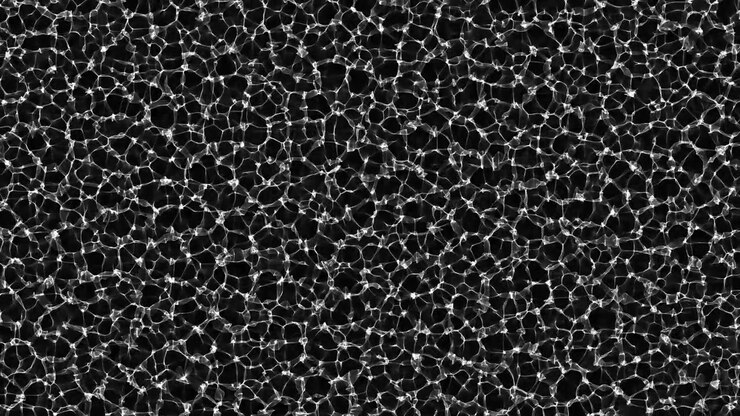 Abstract Caustic Light Patterns Reflecting on Water Surface
