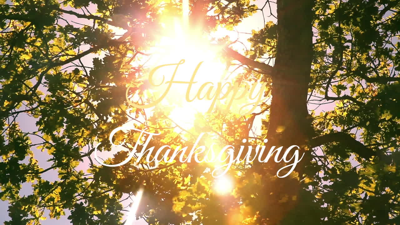 Sunlight shining through tree leaves with Happy Thanksgiving text animation