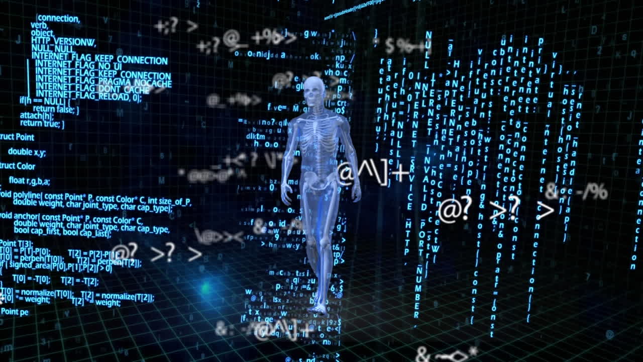 Animation of human model and data processing