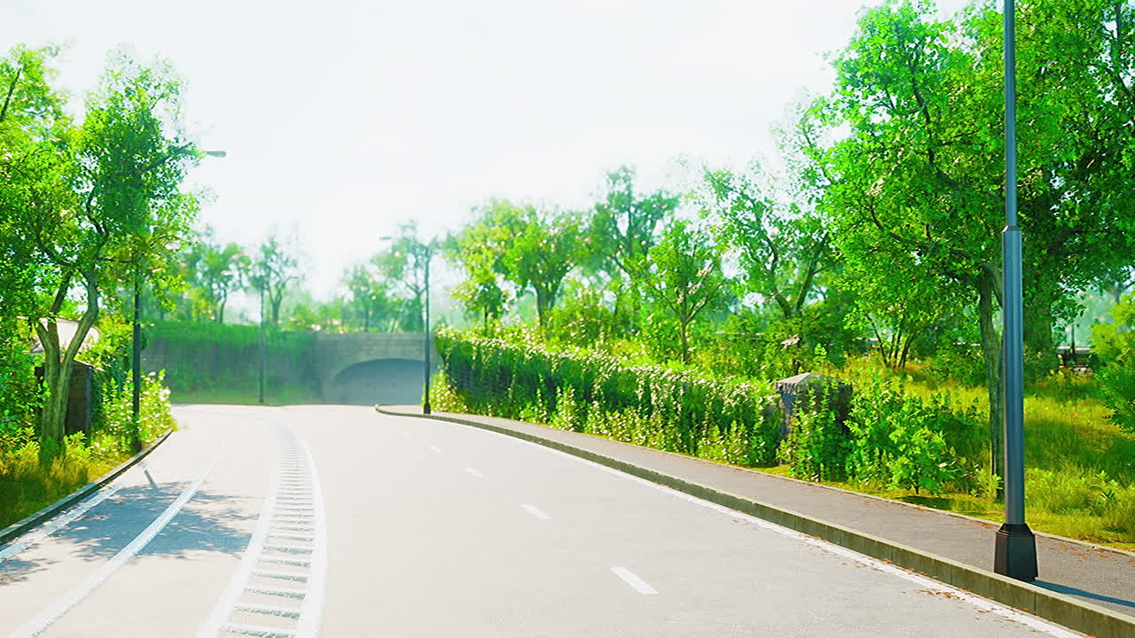 숲 한가운데 를 가로지르는 도로 의 사진