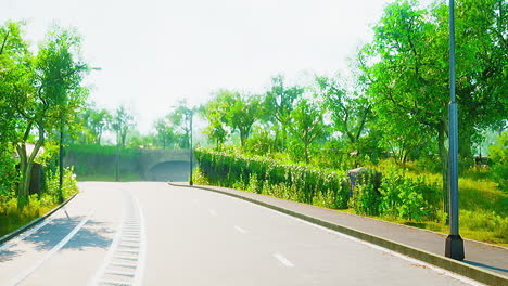 photo of the road through the middle of the forest