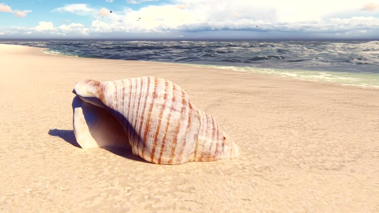 Beautiful seashell on a sandy beach, washed by the ocean wave. Beautiful loop 3D animation.