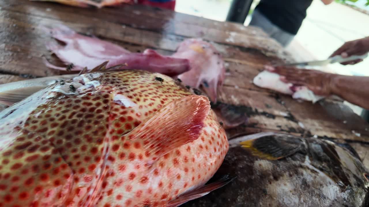 Fisherman preparing a grouper on a wooden table outdoors