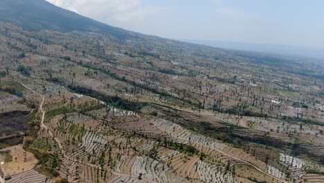 Campos-De-Cultivo-Muertos-Durante-La-Estación-Seca-En-Indonesia,-Vista-Aérea