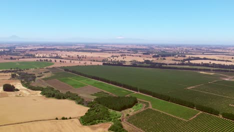 Luftaufnahme-Von-Weinbergen-Und-Weizenfeldern-Im-Malleco-Tal-In-Chile